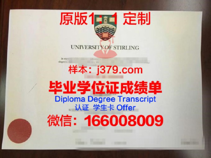 麦地那国际大学diploma证书(麦地那大学录取通知书)