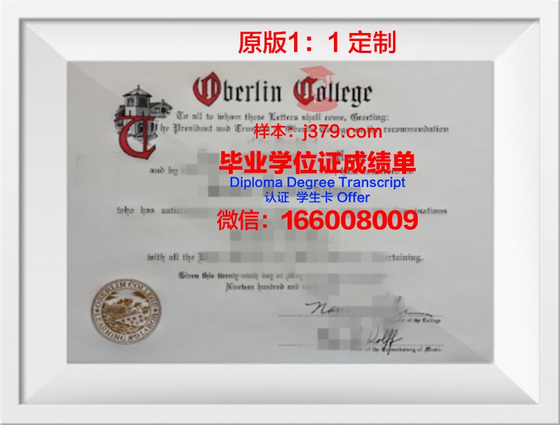 柏林自由大学毕业证书原件