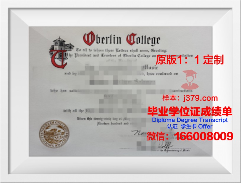 柏林商学院毕业证外壳(柏林国际商学院)