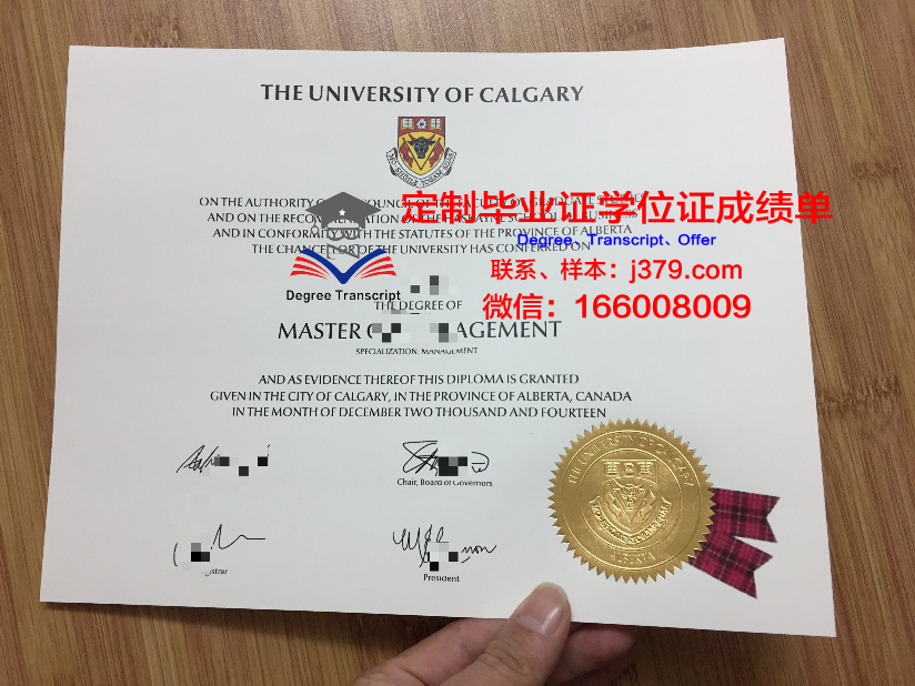 瑟克特夫卡尔国立大学毕业证封面