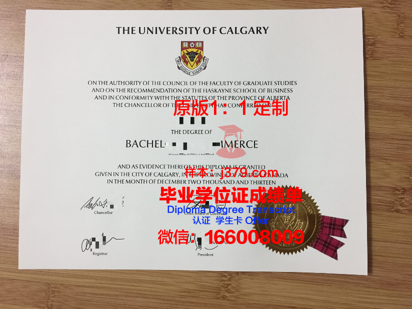 瑟克特夫卡尔国立大学毕业证封面