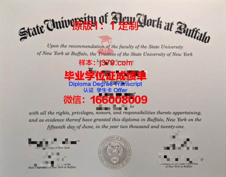 纽约州立大学阿尔巴尼分校毕业学位