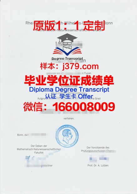 波恩大学硕士毕业证(波恩大学吧)