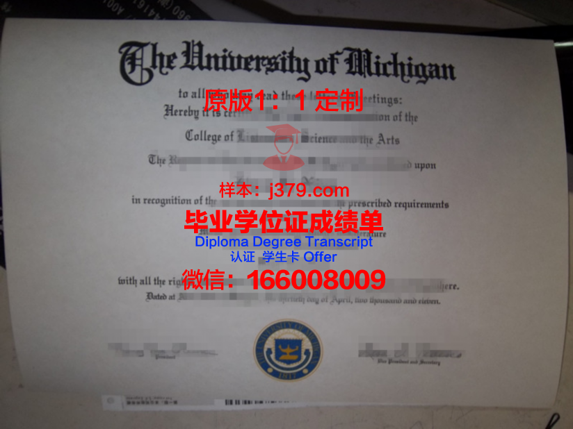 群马大学毕业证展示
