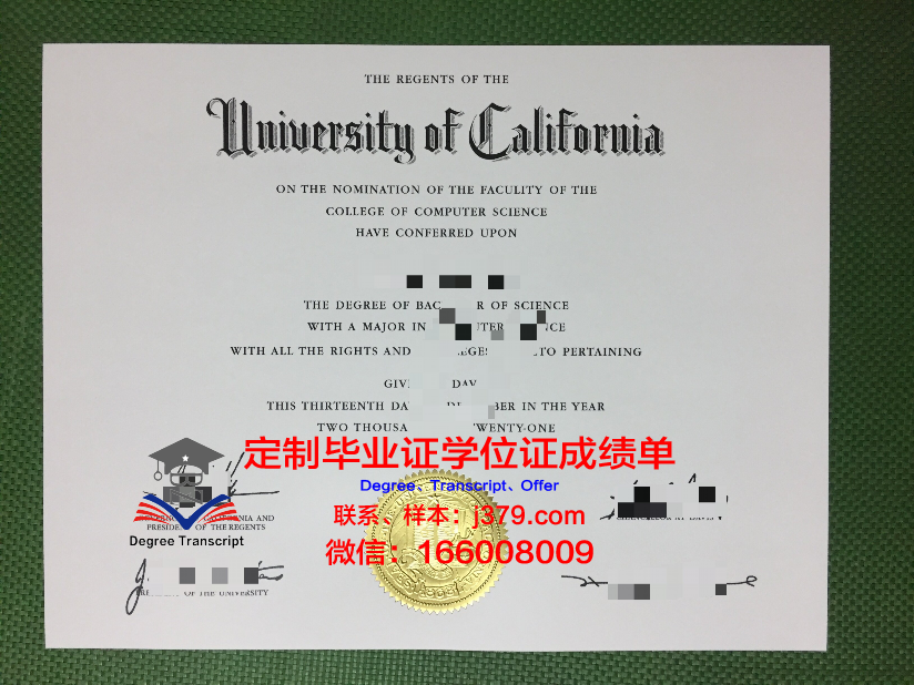 波多黎大毕业证定制:揭开学历伪造的真相