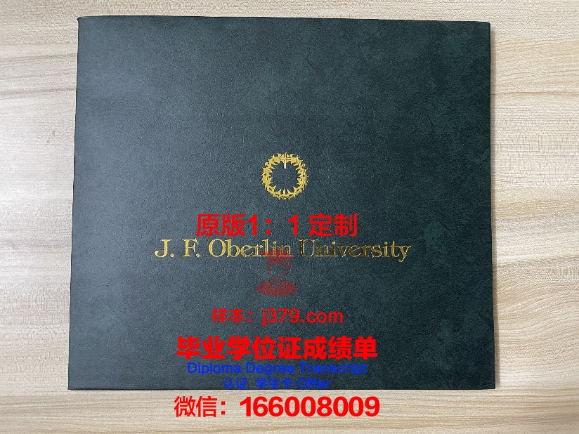 波尔多第三大学毕业证等级(波尔多大学录取要求)