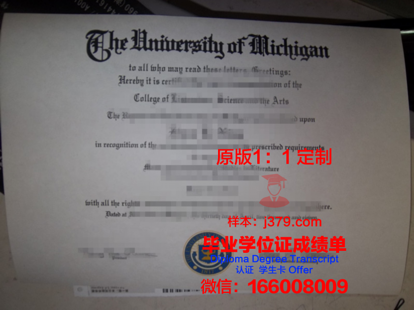 波尔多综合理工学院硕士毕业证(波尔多大学研究生申请)