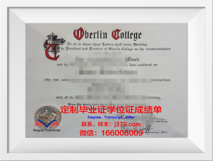 柏林媒体设计学院毕业证书图片高清(柏林新媒体中心)