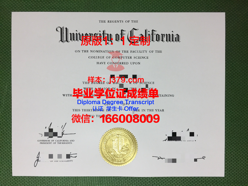 波城大学毕业证真伪(城市大学毕业证)