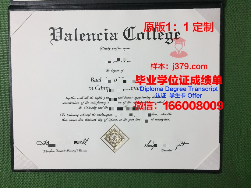 瓦伦西亚大学毕业证书图片大全(瓦伦西亚大学专业排名)