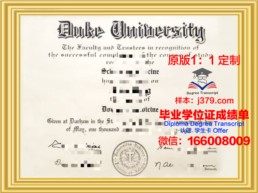 杜克大学毕业证模板(杜克大学毕业证模板图)