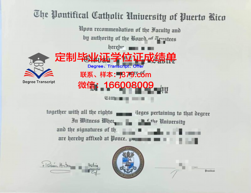 波多西科学与技术研究院毕业证高清图(波多黎各有什么大学)