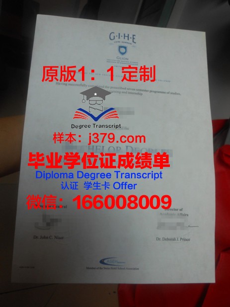 里昂中央理工学院毕业证是什么模样(里昂中央理工大学好吗)
