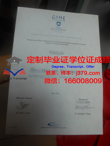 里昂中央理工学院毕业证是什么模样(里昂中央理工大学好吗)