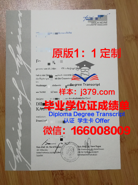 杜塞尔多夫大学博士毕业证书(杜塞尔多夫艺术学院申请)