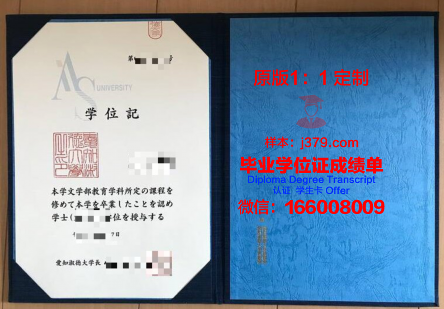 爱知工科大学证书成绩单