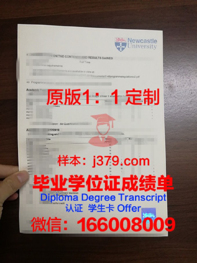 胡志明国立大学证书成绩单(胡志明市师范大学排名)