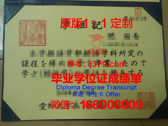 爱知工科大学毕业证图片(爱知工科大学世界排名)
