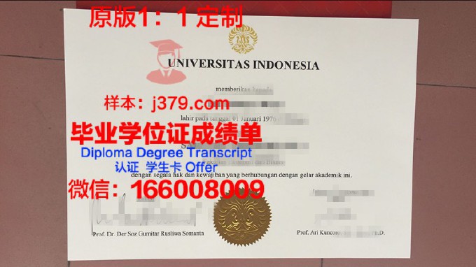 印度尼西亚大学毕业证案例(印度尼西亚大学生)