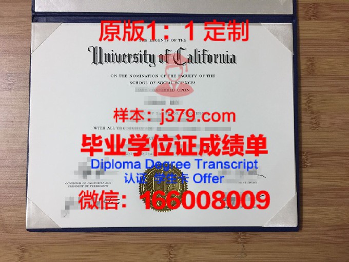 格勒诺布尔综合理工学院diploma证书(格勒诺布尔高等商学院dba)